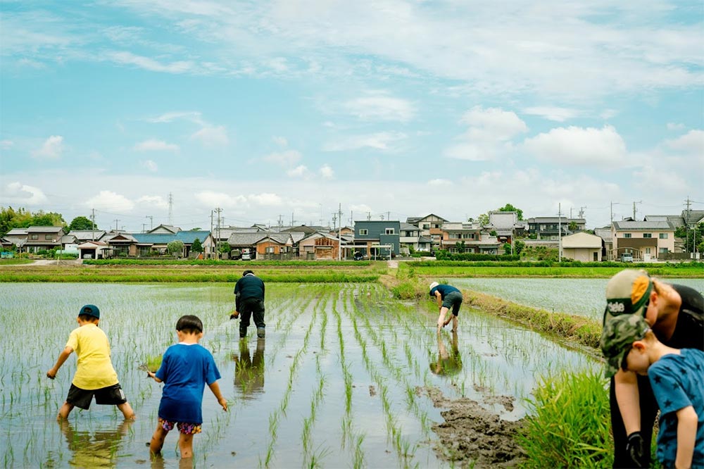 田植え風景